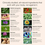 Natural Hormone Balance